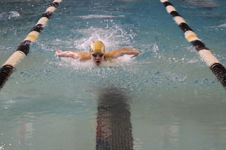 Freshmen Macy Williams competes at the Kingwood Park meet a week after her record-breaking butterfly swim.