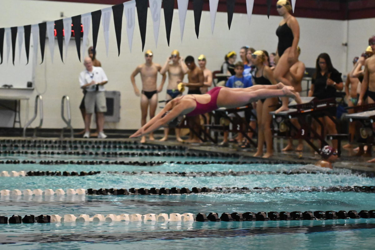 SCHS swimmer dives into the water 